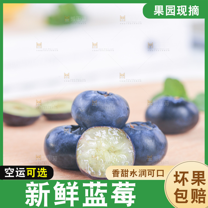 浅底上的怡颗莓