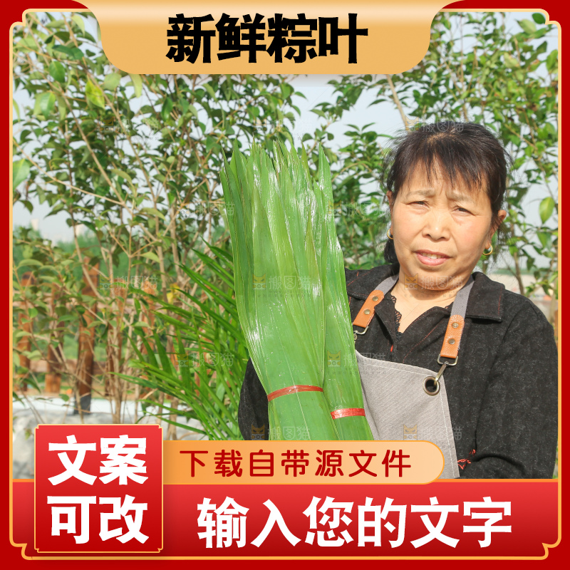 深底上的新鲜粽叶