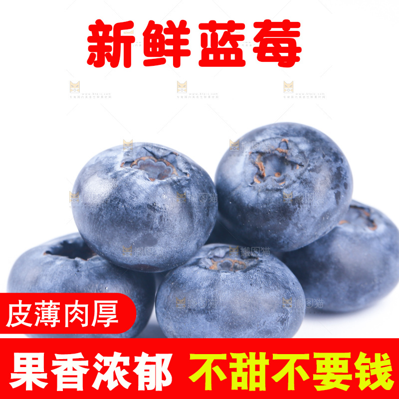 白底上的怡颗莓