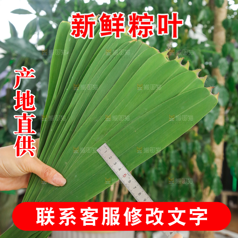 深底上的新鲜粽叶