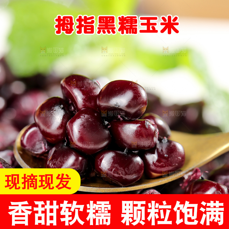 木底上的黑糯拇指玉米