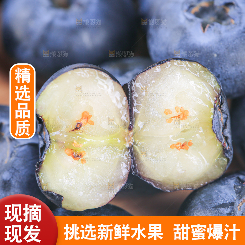 浅底上的怡颗莓