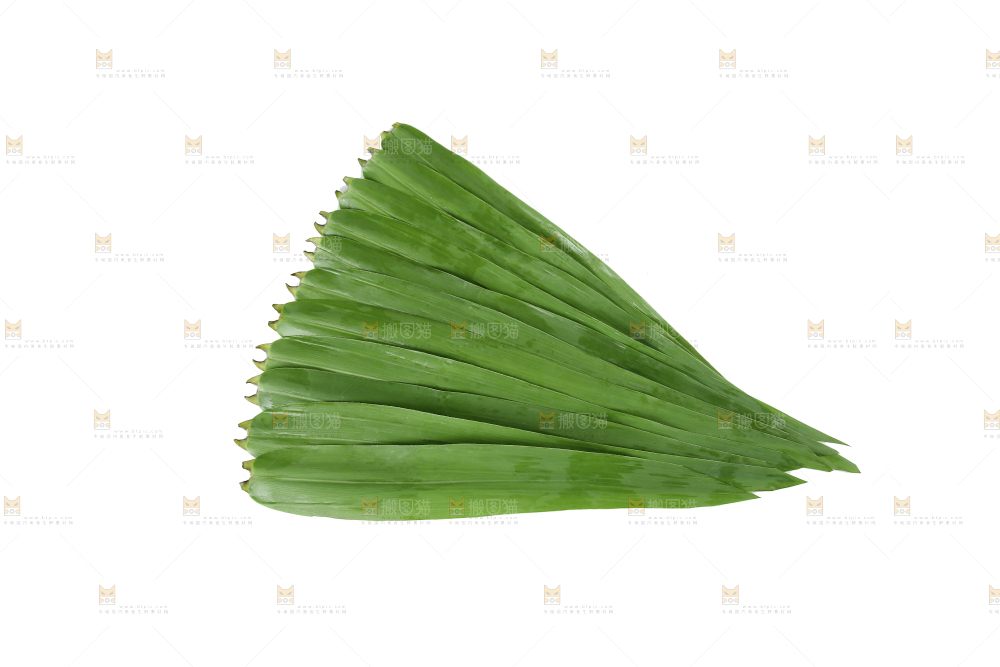 白底上的粽叶