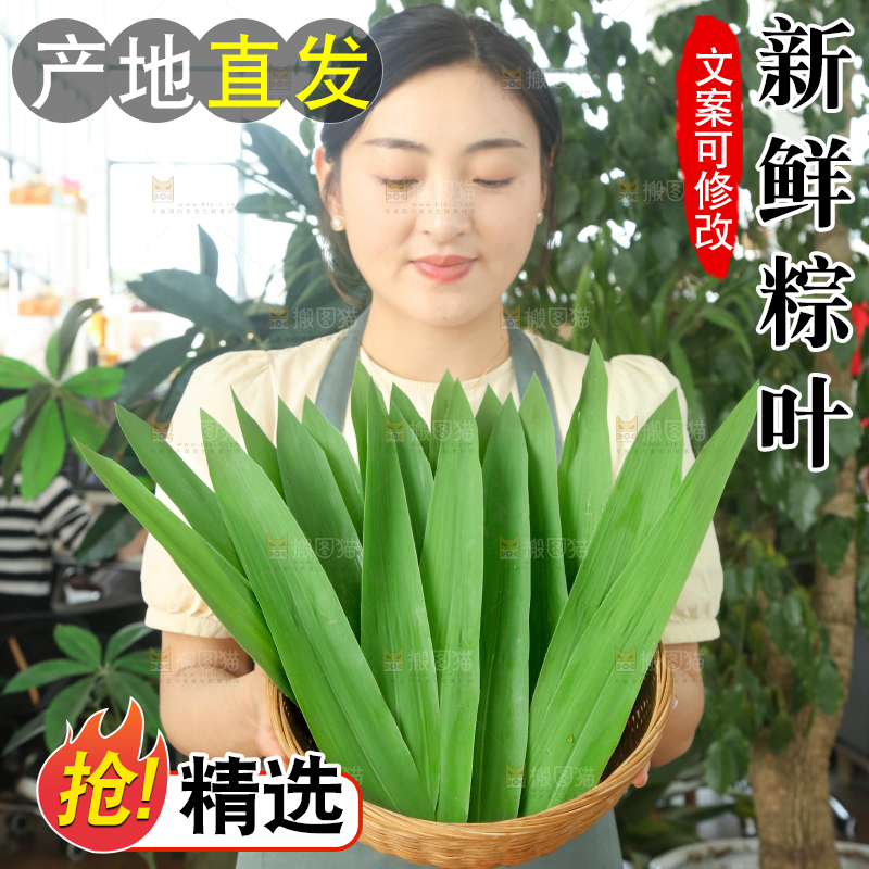 手里拿着新鲜粽叶