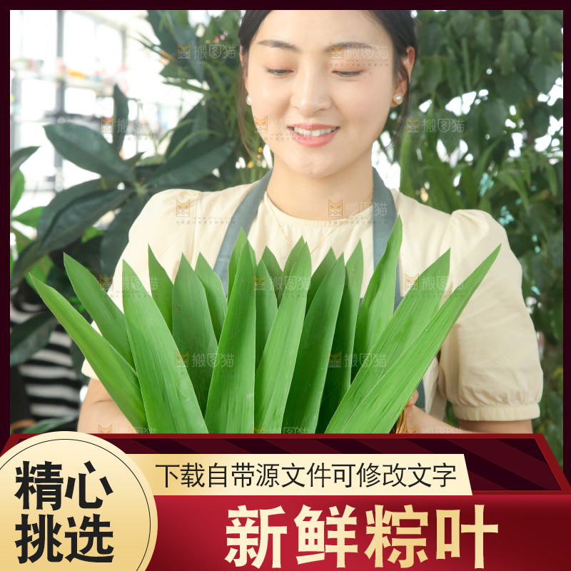 手里拿着新鲜粽叶