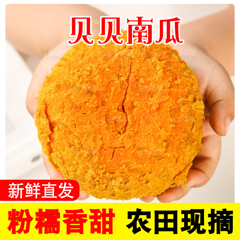 浅底上的贝贝南瓜