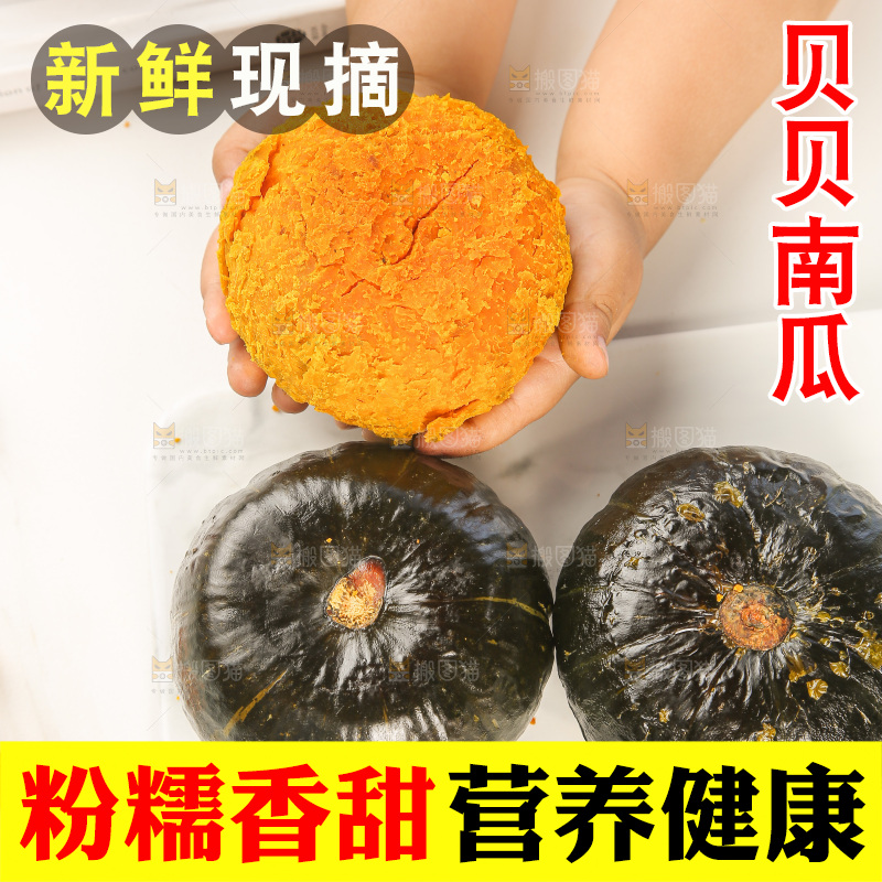 浅底上的贝贝南瓜