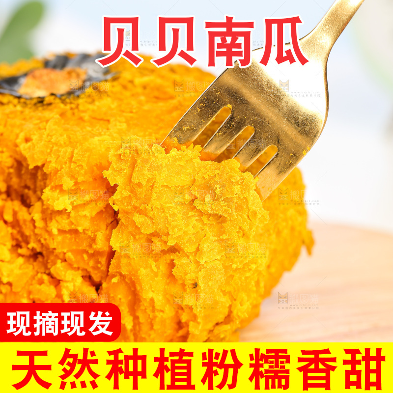 浅底上的贝贝南瓜
