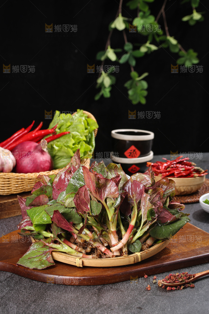 深底上的鱼腥草叶