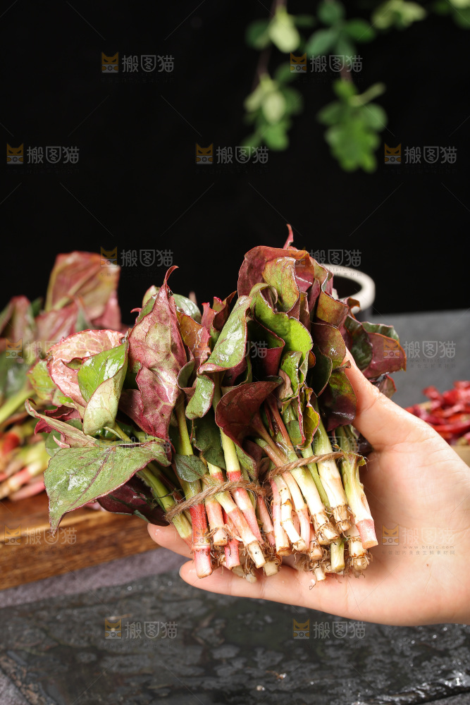 深底上的鱼腥草叶