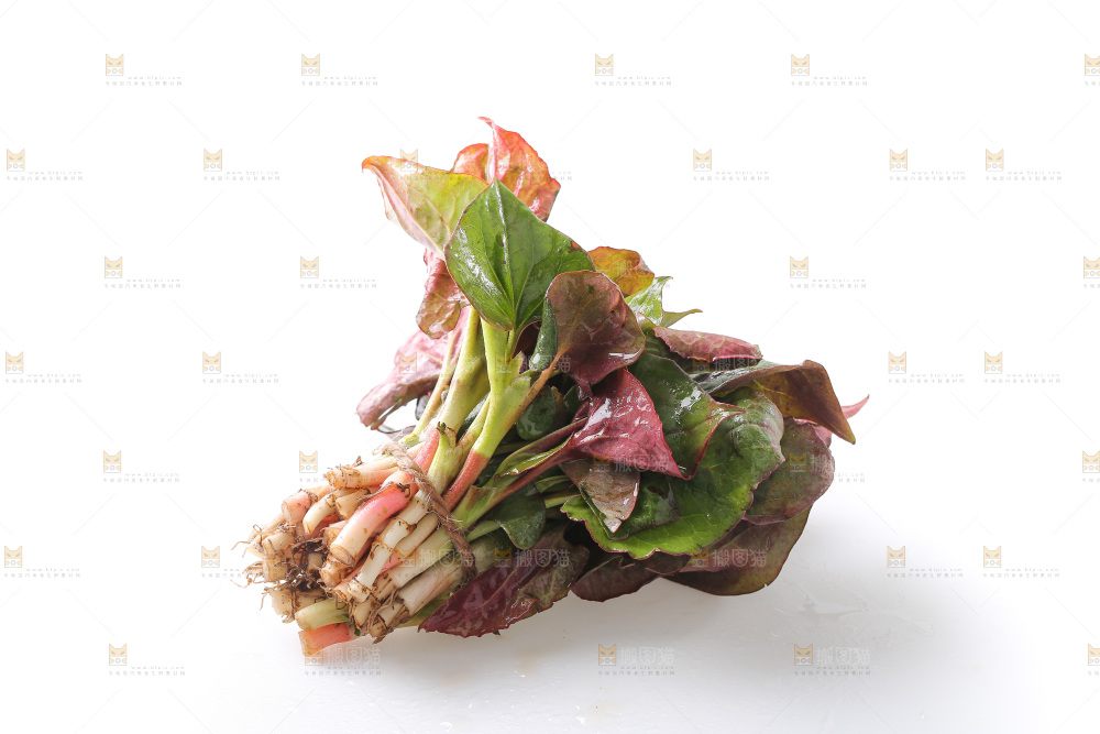 白底上的鱼腥草叶