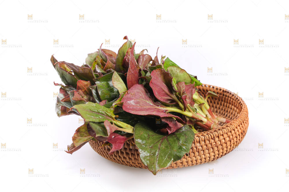 白底上的鱼腥草叶