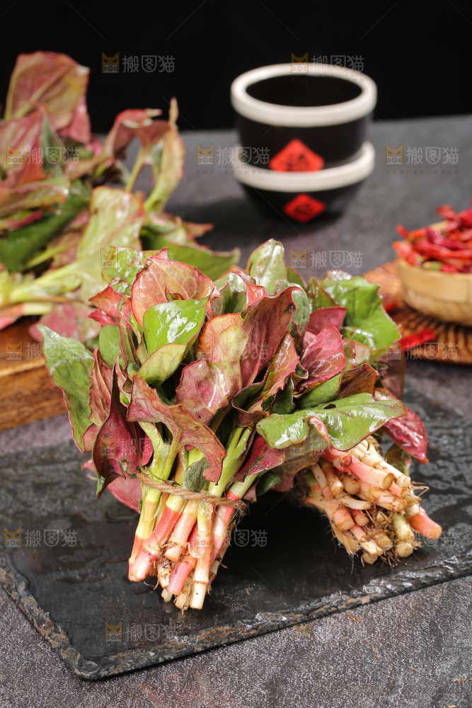 深底上的鱼腥草叶