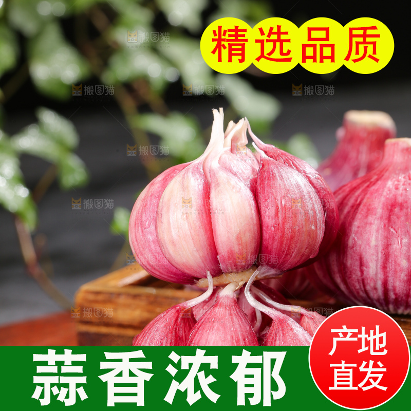 深底上的紫皮大蒜