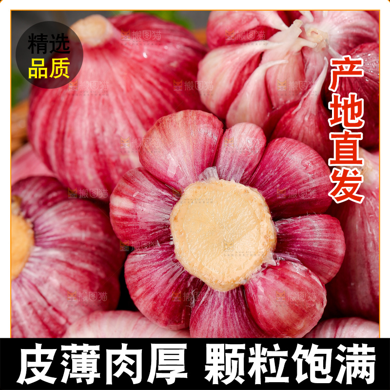 深底上的紫皮大蒜
