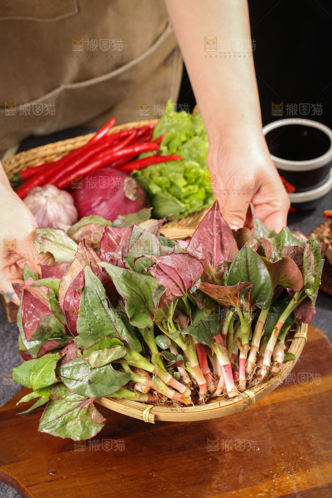 深底上的鱼腥草叶