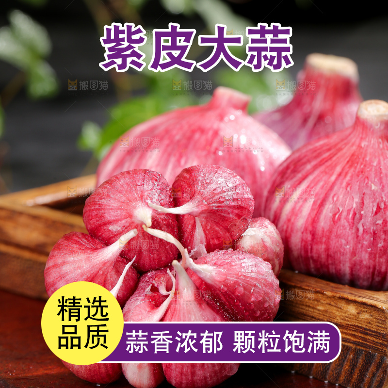 深底上的紫皮大蒜