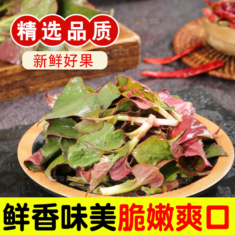 深底上的鱼腥草叶