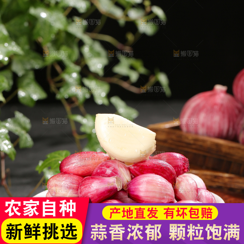 深底上的紫皮大蒜