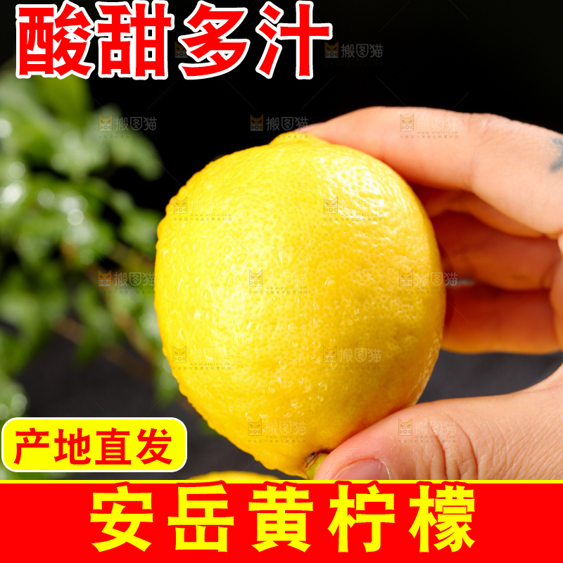 深底上的安岳黄柠檬
