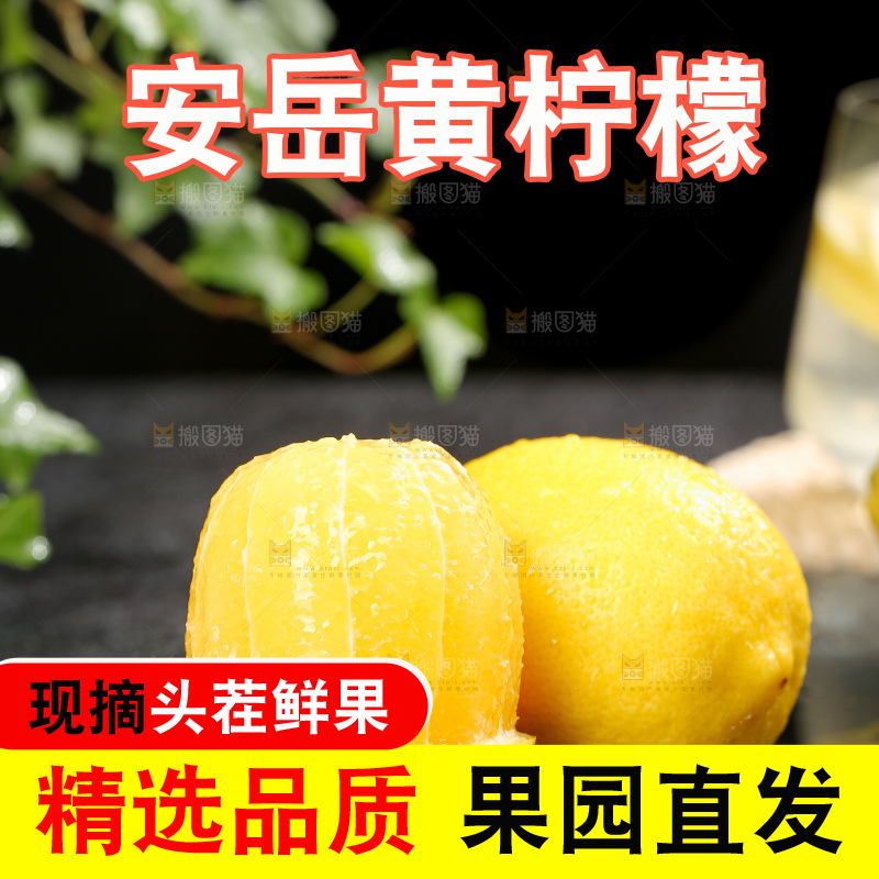 深底上的安岳黄柠檬
