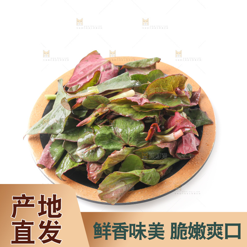 白底上的鱼腥草叶