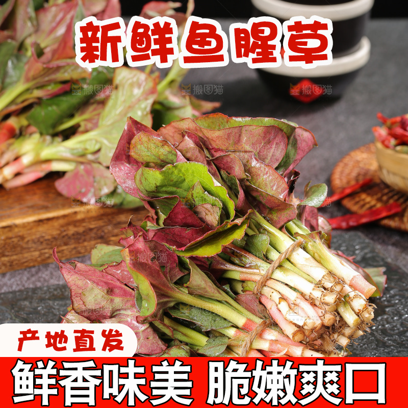 深底上的鱼腥草叶