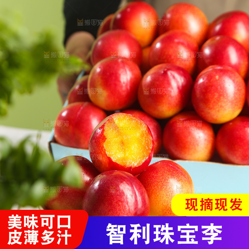 木底上的珠宝李