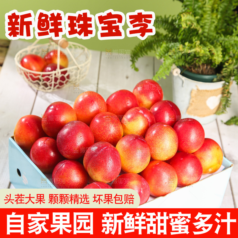 木底上的珠宝李