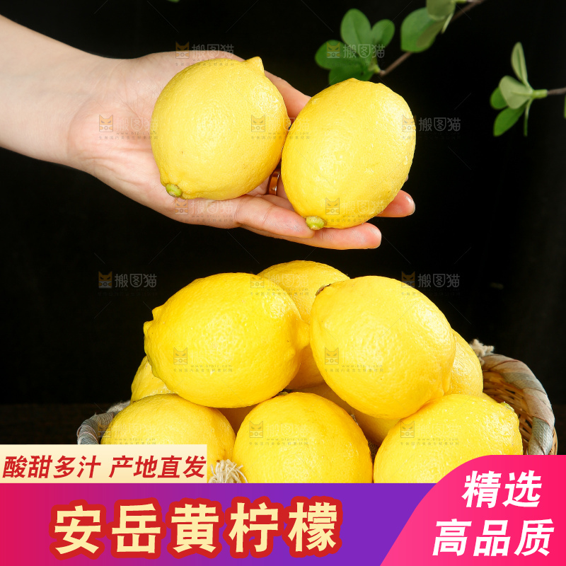 深底上的安岳黄柠檬