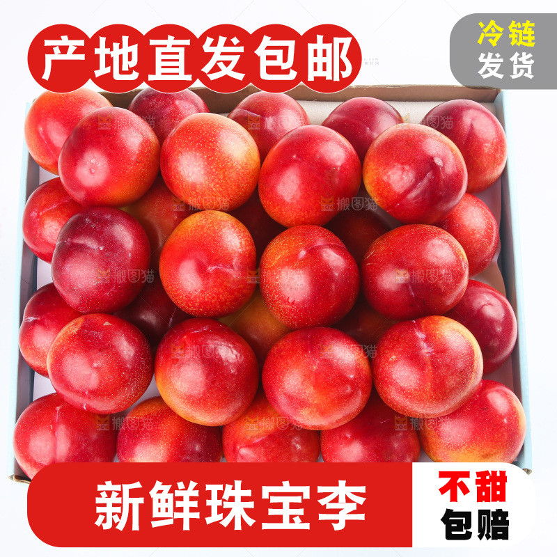 白底上的珠宝李