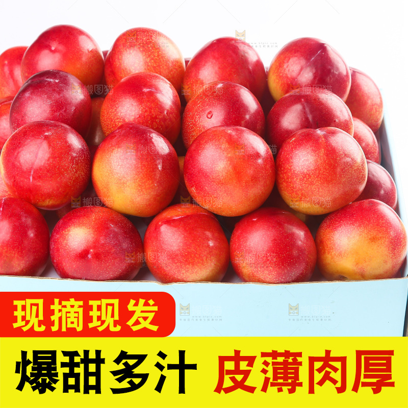 白底上的珠宝李