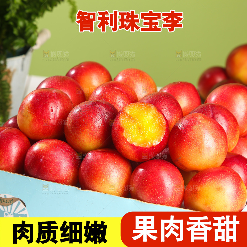 木底上的珠宝李