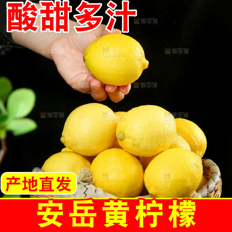 深底上的安岳黄柠檬