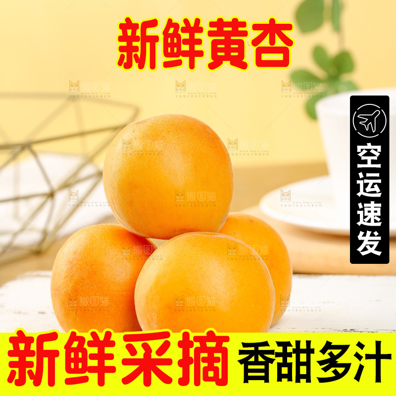 浅底上的大黄杏