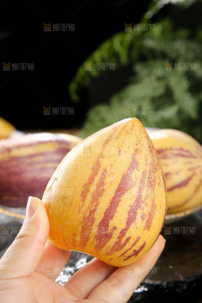 深底上的民勤人参果
