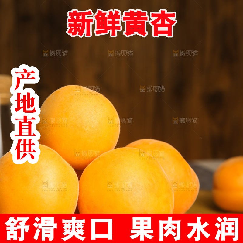 深底上的大黄杏