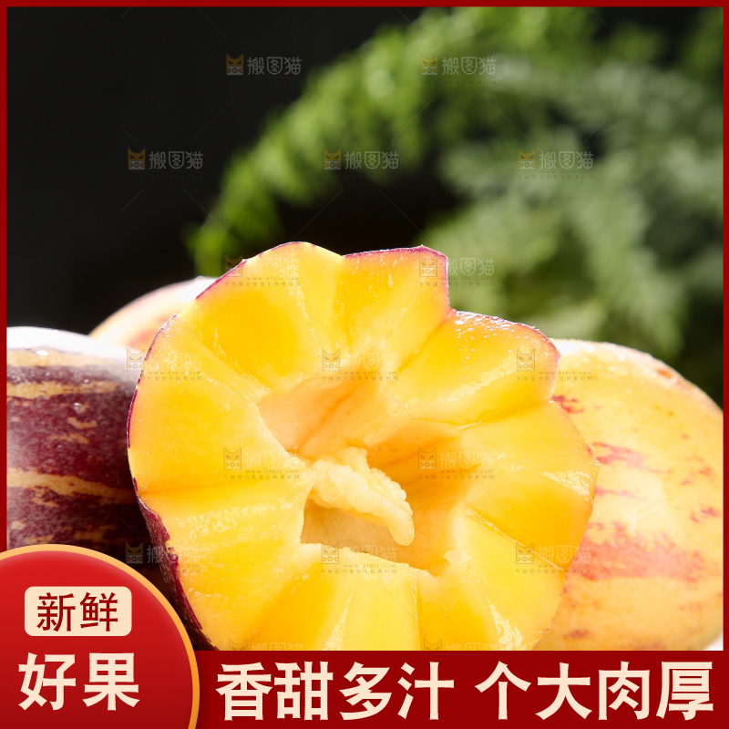 深底上的民勤人参果