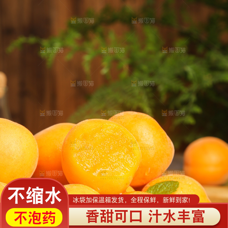 深底上的大黄杏