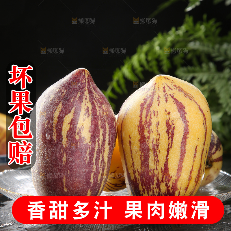 深底上的民勤人参果