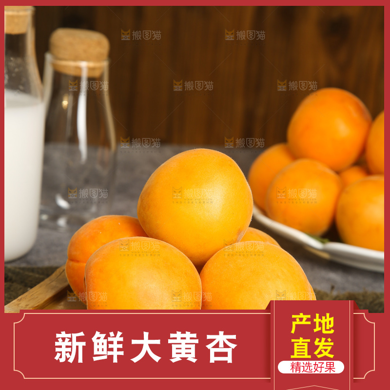 深底上的大黄杏