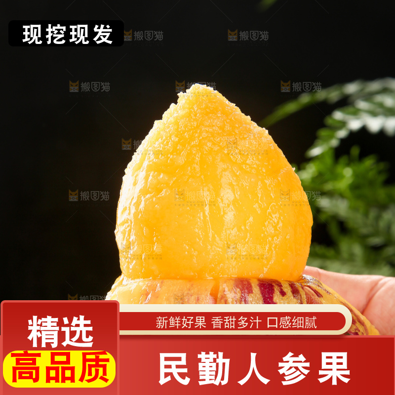 深底上的民勤人参果