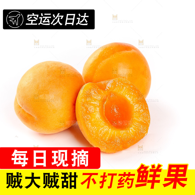 白底上的大黄杏