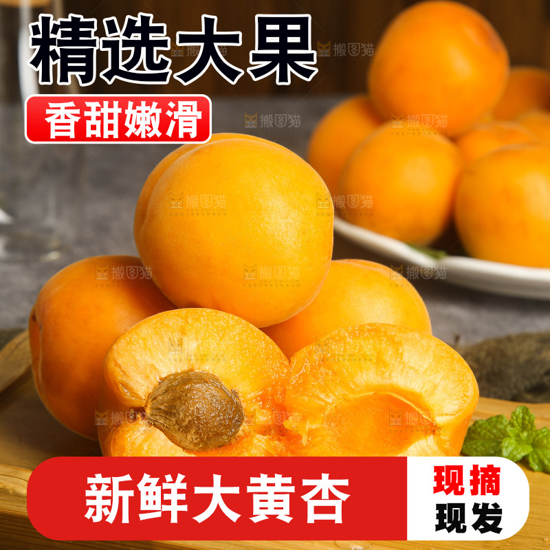 深底上的大黄杏