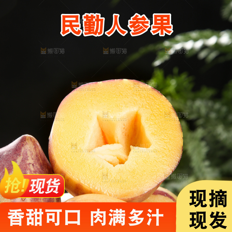 深底上的民勤人参果