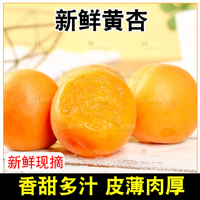 浅底上的大黄杏