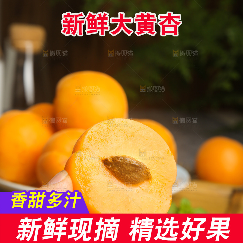 深底上的大黄杏