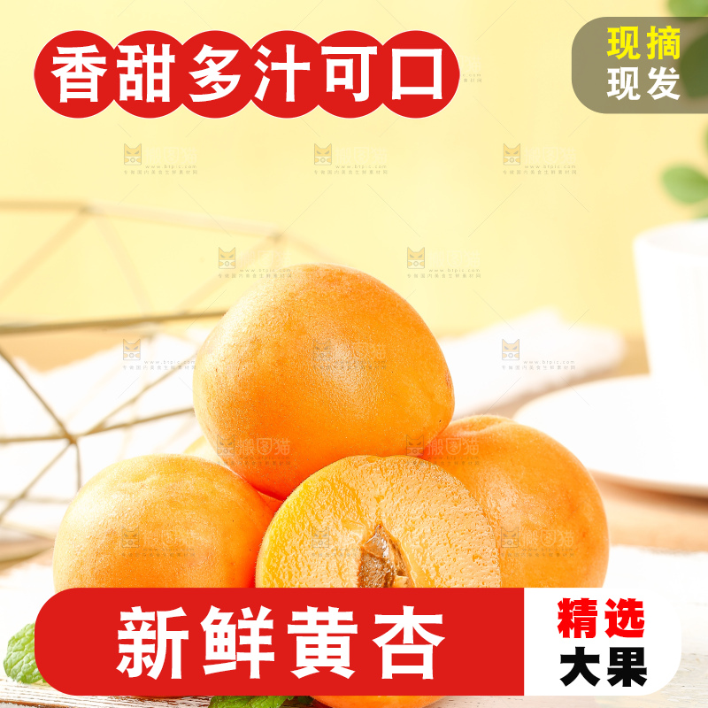 浅底上的大黄杏