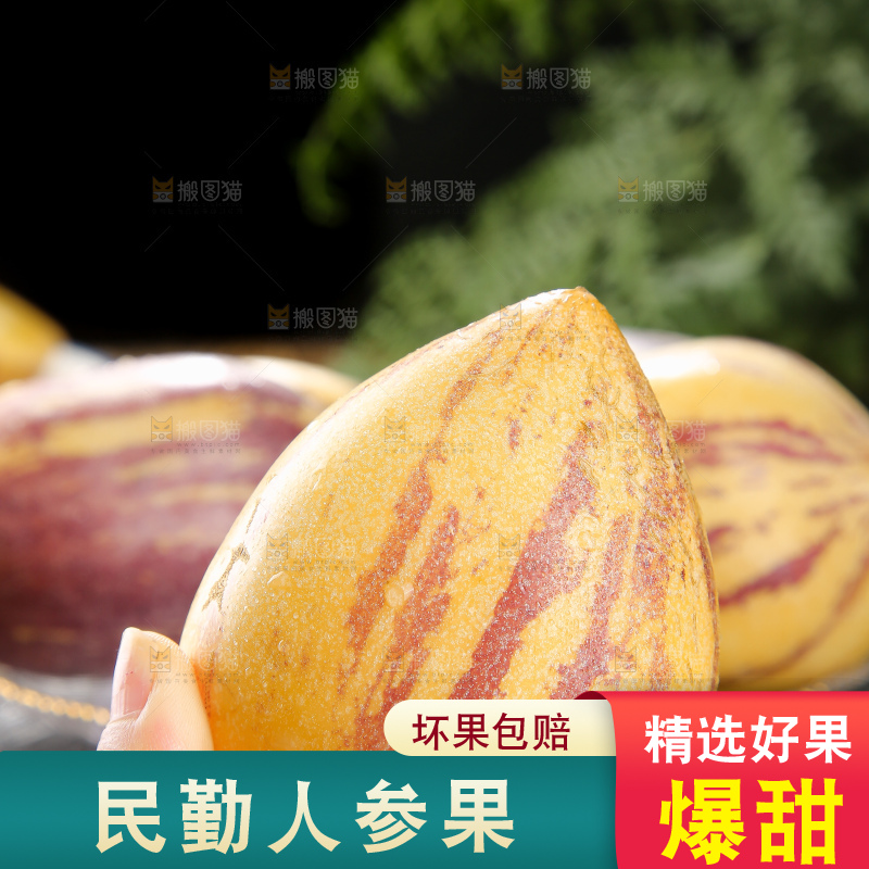深底上的民勤人参果