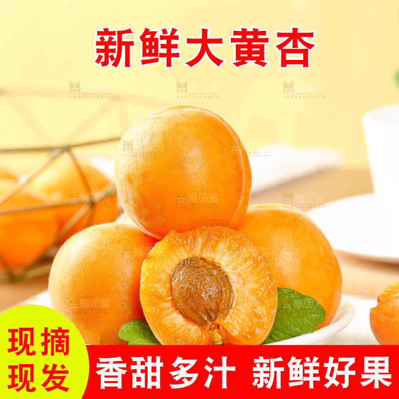 浅底上的大黄杏